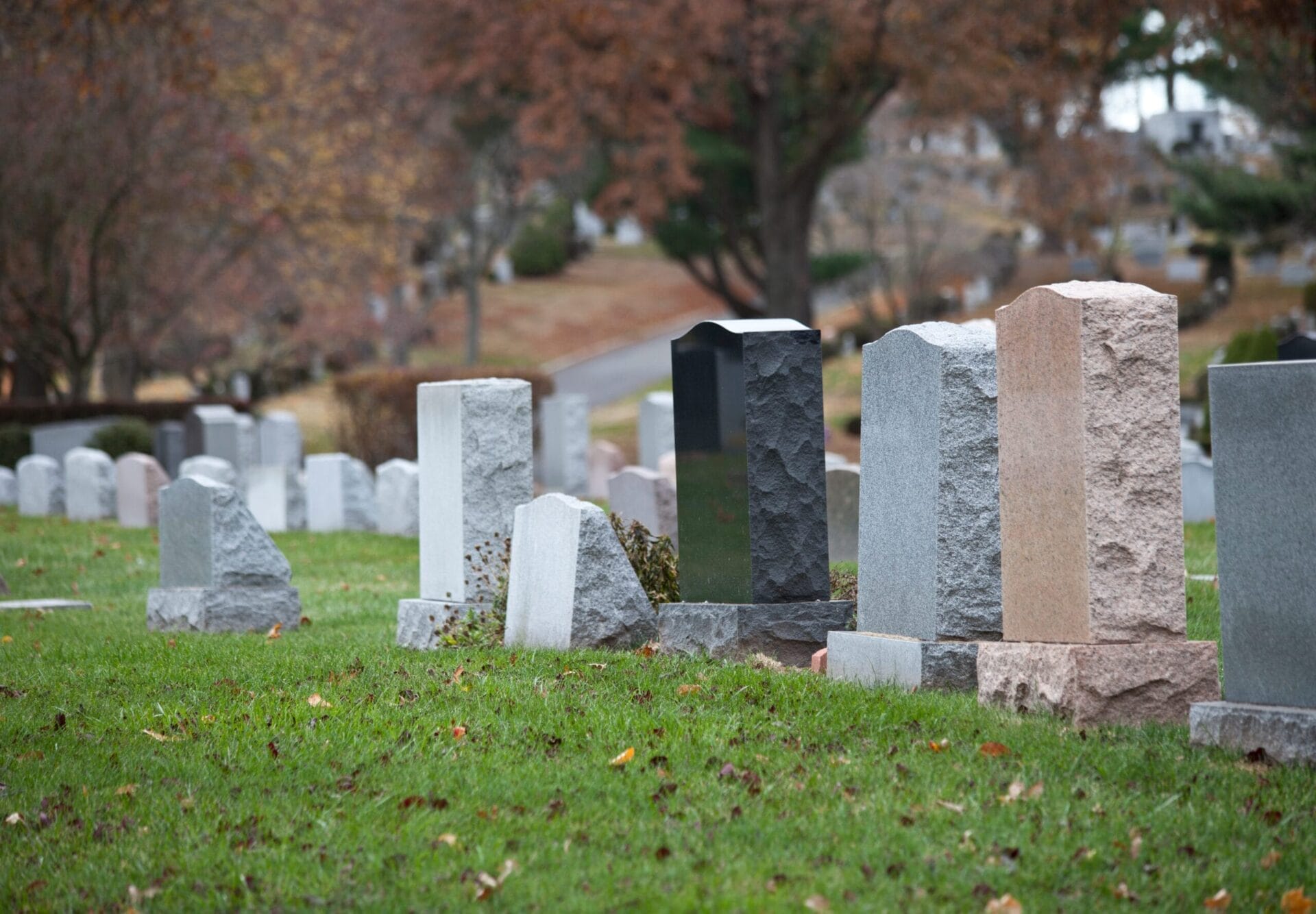 Gravestones in a peaceful cemetery setting.